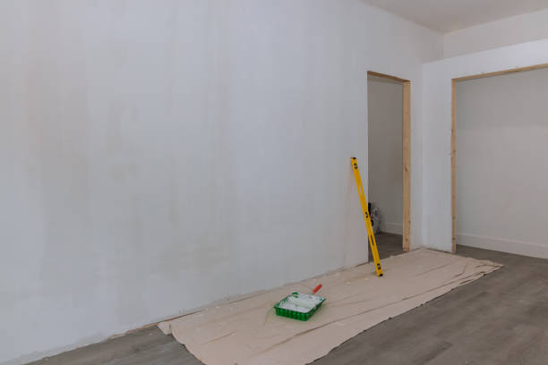 Best Drywall Removal and Disposal  in Henry, IL